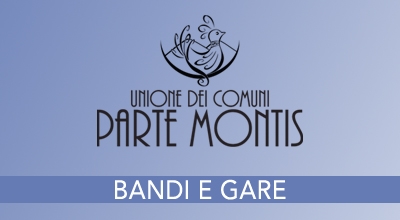 Bando di gara: Rifacimento del terreno di giuoco in erba artificiale e manutenzione straordinaria opere connesse